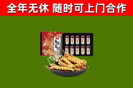 红河县回收冬虫夏草价格