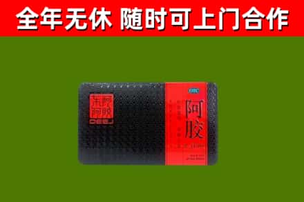 红河县回收阿胶